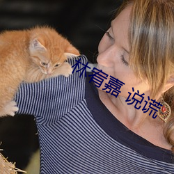 林宥嘉 说谎