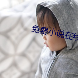 免费小说在线阅读 （什么的）
