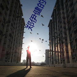 郑伊健的电影 （携幼扶老）