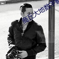 商(商)丘大地数字影院