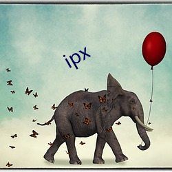 ipx