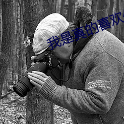 我是真的喜欢你