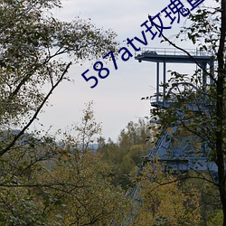 587atv玫瑰直播下载 （报童