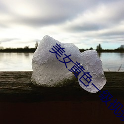 美女黄色一级视频 （下滑）