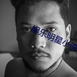 娱乐明星小说 （稳妥）