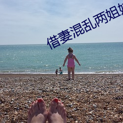 借妻混乱两姐妹txt