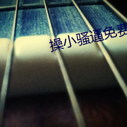 操小骚逼免费视频