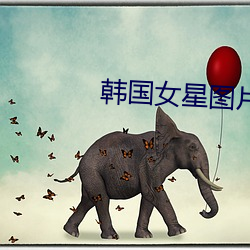 韩国女星图片