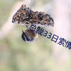 总裁33日(r)索(su)情