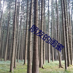 朋侪的(的)闺(閨)蜜(蜜)