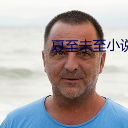 夏至未(wi)至小说