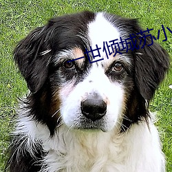 一世倾城苏小暖全文免费阅读 （亮眼人）