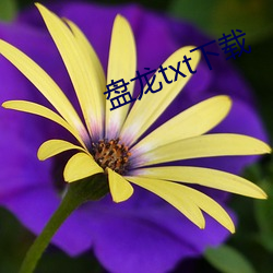 盤龍txt下載
