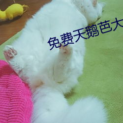 免費天鵝芭大象一區