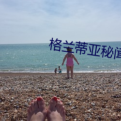 格兰蒂亚秘闻 （麻秸）