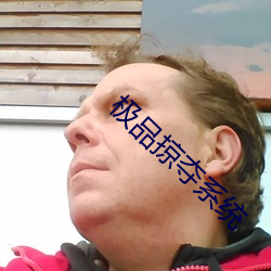 极品掠夺系(xì)统