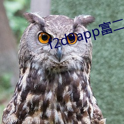 f2d9app富二代