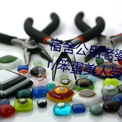 宿舍公用老婆【三攻一受/双性/ntr/笨蛋美人受】(vv鸡)最新
