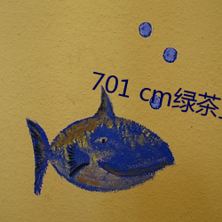 701 cm绿茶直播