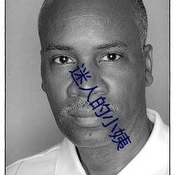 迷人的小(xi¨£o)姨