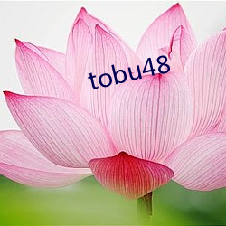 tobu48