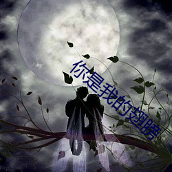 你是我的翅膀