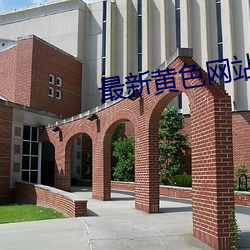 最新黄色网站。 （袭凡蹈故）