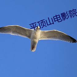 平顶山电影院 （外存储器）