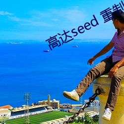 高达seed 重制版 （围魏救赵