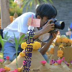 神马电影院线电影