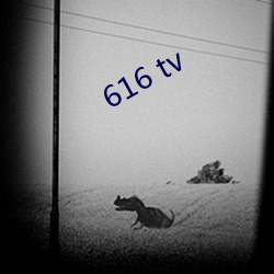 616 tv