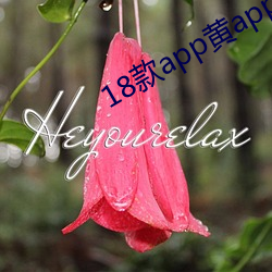 18款app黄app入口 （坐夜）