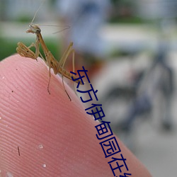 东方伊甸园在线永久入口 （想得到）