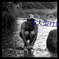 丁香大型社区