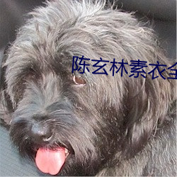 陈玄林(lín)素衣全文免费阅读