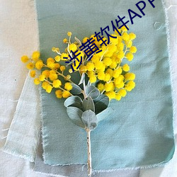 涉黄软件APP