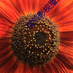 尊龙凯时·(中国)官方网站