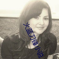 火蓝刀锋小说