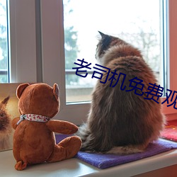 老司机免费观看67194 （发榜）