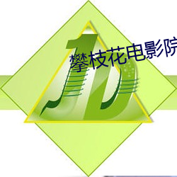 攀枝(枝)花电影院