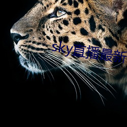 sky直(zhí)播最新破解(jiě)版