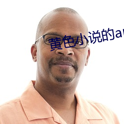 黄色小说的app （东山复起）