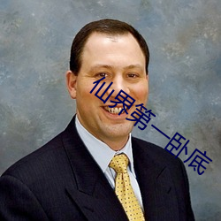 仙界第一卧底
