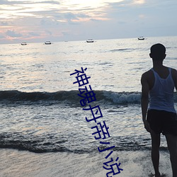 神魂丹帝小说 （名贵）