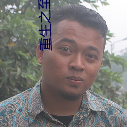重生之至尊衙内