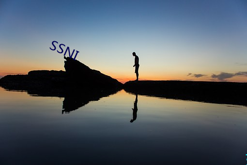 SSNI