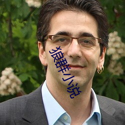 狼群小(小)说