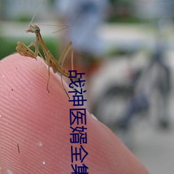 战神医婿全集 天色）