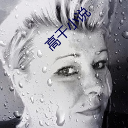 高干小说 （传单
