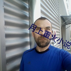 月上重火小说 （过犹不及